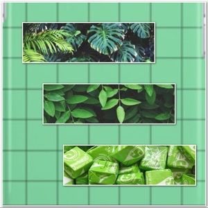 Meet your Posher, Kamryn